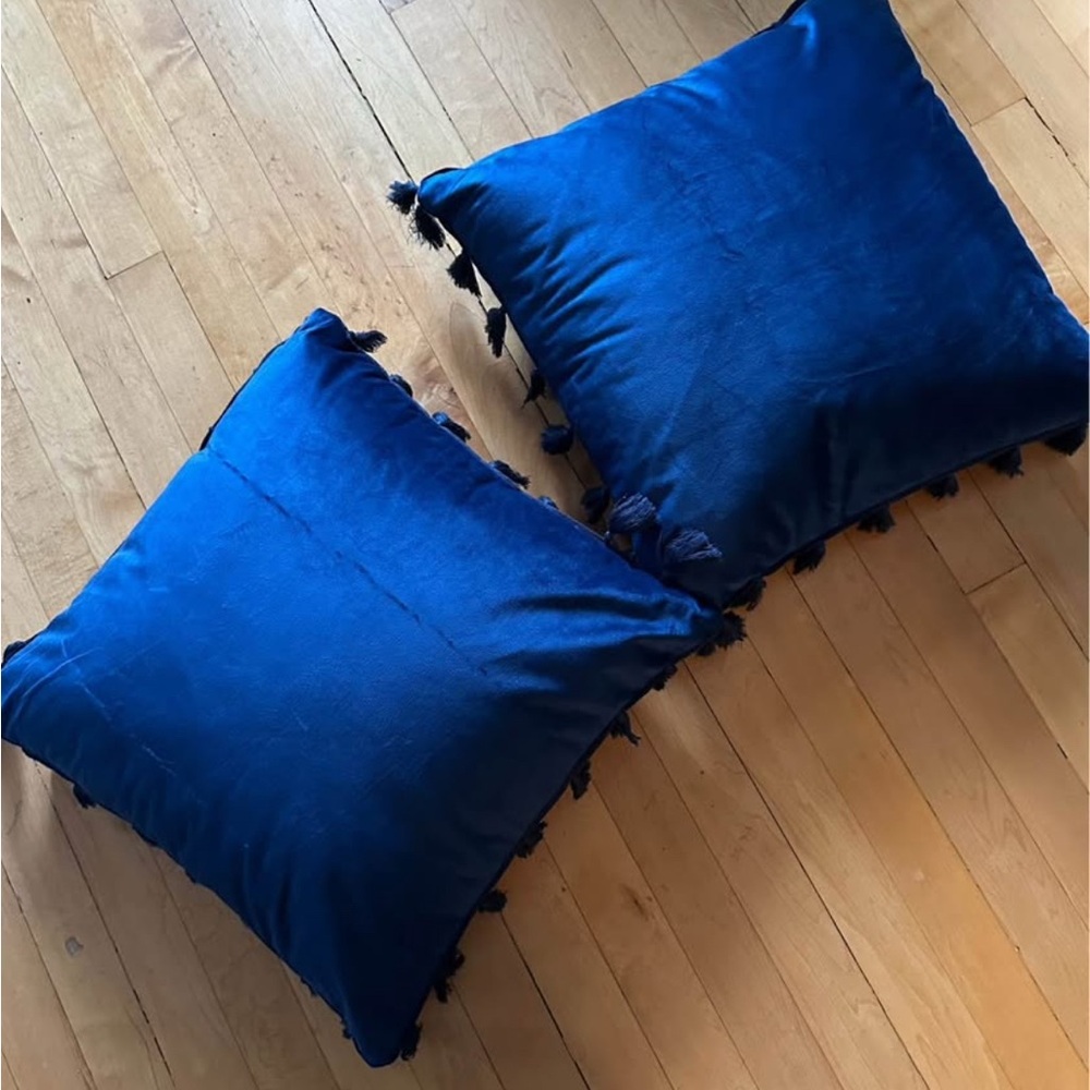 Elegant Blue Tassel Throw Pillow Set - Picture 2 of 3
